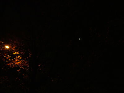 DSCF8869.JPG