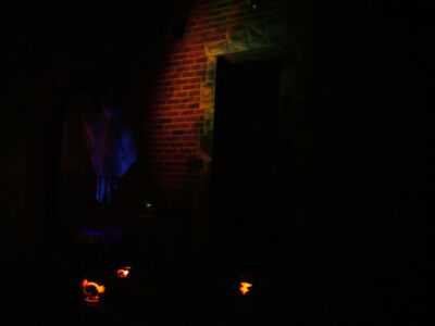 DSCF8870.JPG