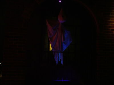 DSCF8871.JPG