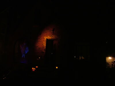 DSCF8872.JPG