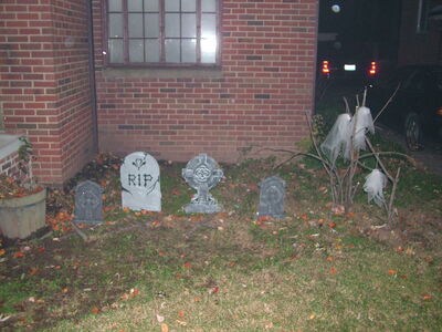 DSCF8874.JPG