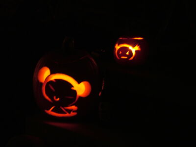 DSCF8875.JPG