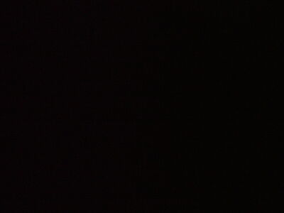 DSCF9181.jpg
