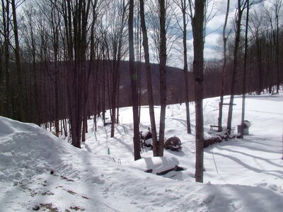 DSCF9203.jpg