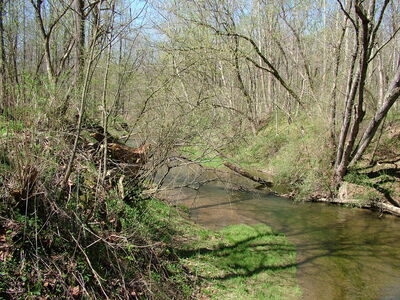 DSCF9323.JPG