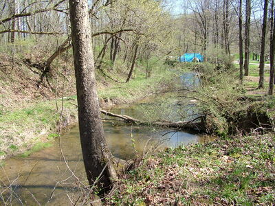 DSCF9324.JPG