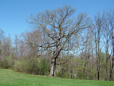 DSCF9327.JPG