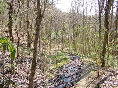 DSCF9333.JPG