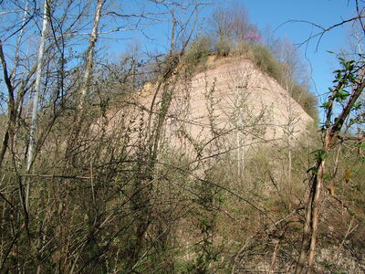 DSCF9334.JPG