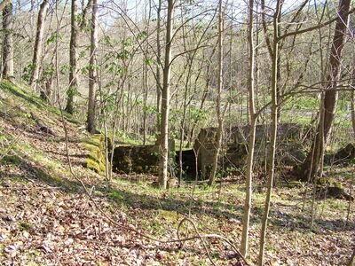 DSCF9335.JPG
