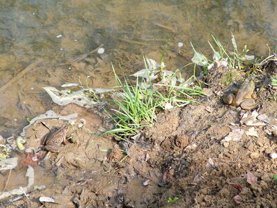DSCF9337.JPG