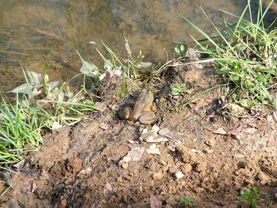 DSCF9338.JPG