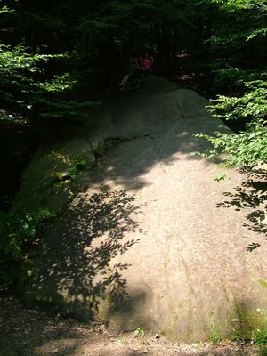 DSCF9450.JPG