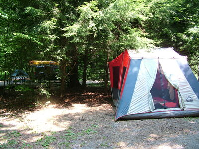 DSCF9451.JPG