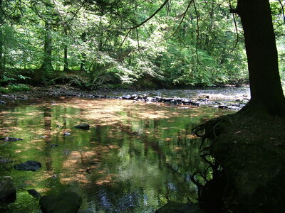 DSCF9452.JPG