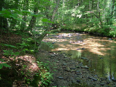DSCF9453.JPG