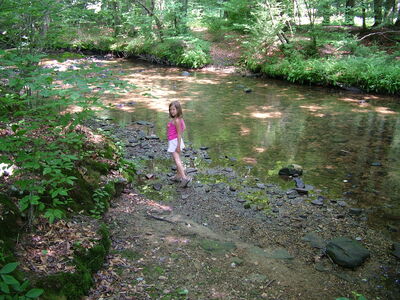 DSCF9454.JPG