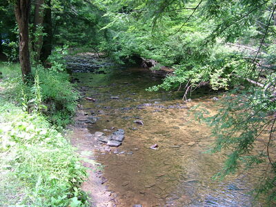 DSCF9455.JPG