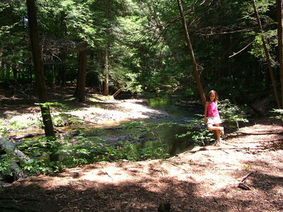 DSCF9459.JPG