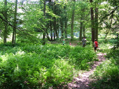 DSCF9460.JPG