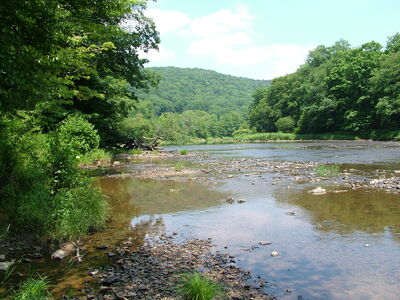 DSCF9461.JPG