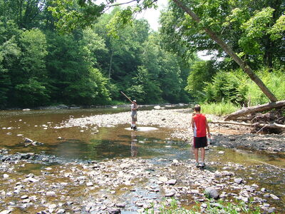DSCF9463.JPG