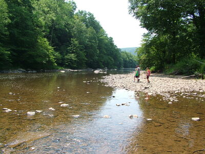 DSCF9464.JPG