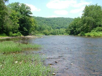 DSCF9465.JPG