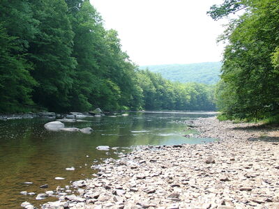 DSCF9466.JPG