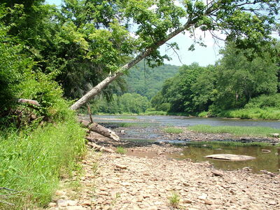DSCF9468.JPG