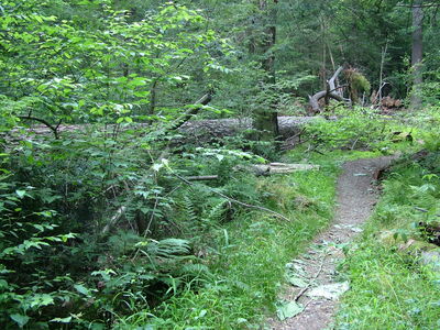 DSCF9477.JPG