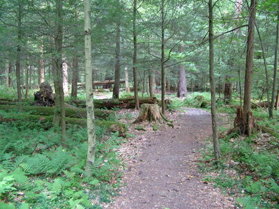 DSCF9478.JPG