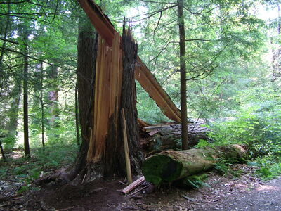 DSCF9479.JPG