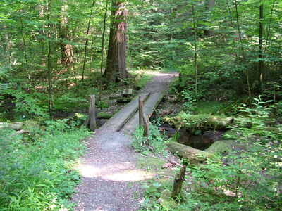 DSCF9480.JPG