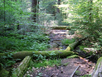 DSCF9481.JPG