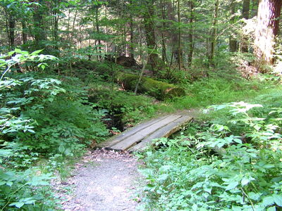 DSCF9482.JPG