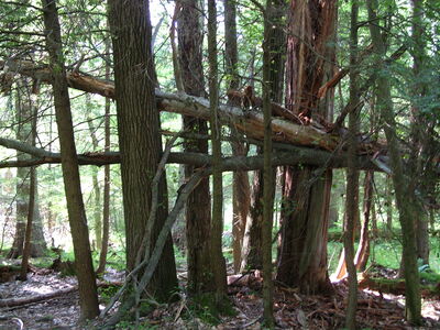 DSCF9483.JPG