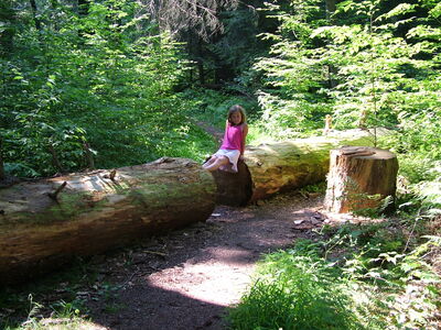 DSCF9484.JPG
