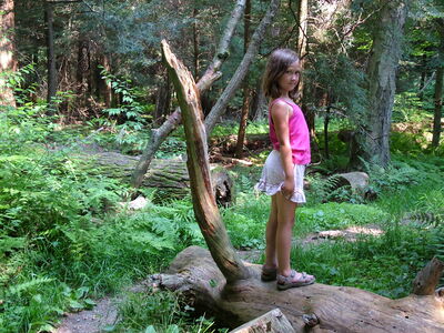 DSCF9487.JPG