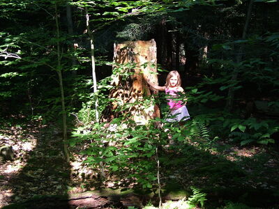 DSCF9488.JPG