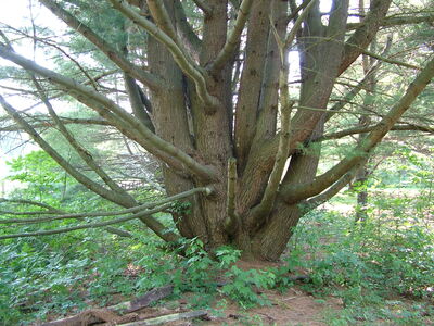 DSCF9489.JPG