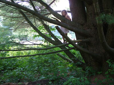 DSCF9490.JPG