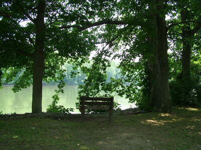 DSCF9496.JPG