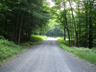 DSCF9520.JPG