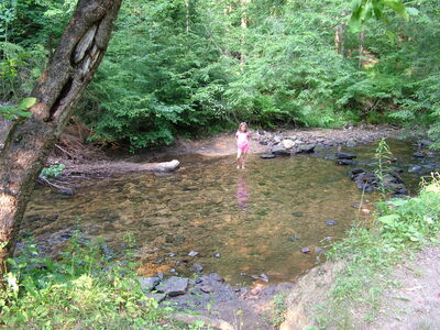 DSCF9522.JPG