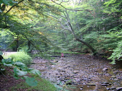 DSCF9523.JPG