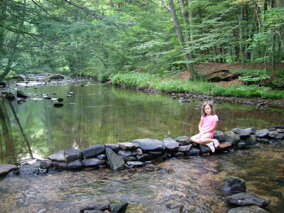 DSCF9525.JPG