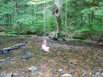 DSCF9526.JPG