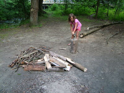 DSCF9527.JPG