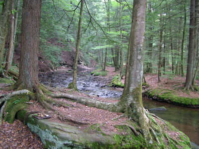 DSCF9530.JPG